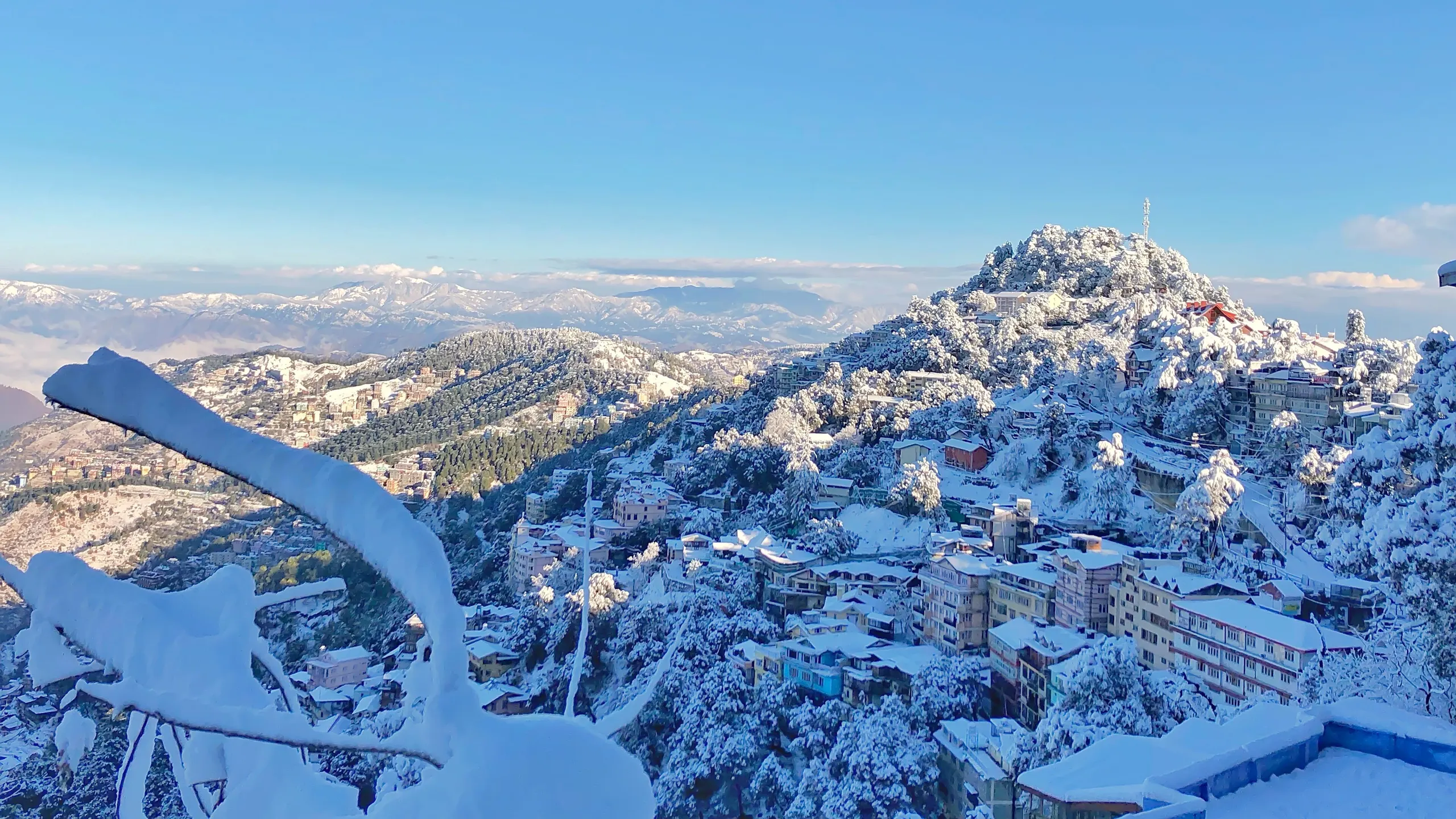 Shimla — Longwood (Shimla)